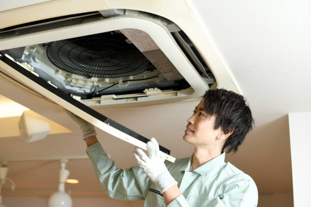 Best Air Duct Mold Removal  in Kings Point, NY