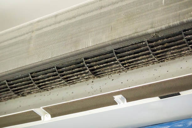 Best Dryer Vent Cleaning Services  in Kings Point, NY